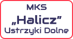 MKS Halicz